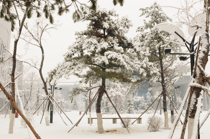 铁岭卫生职业学院