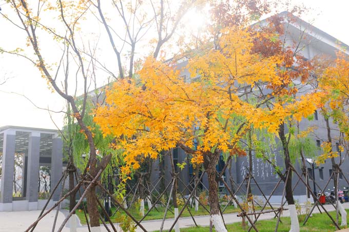 铁岭卫生职业学院