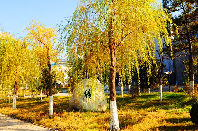 铁岭卫生职业学院