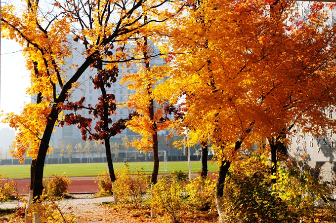 铁岭卫生职业学院